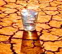 сухая земля, которой недостаточно воды