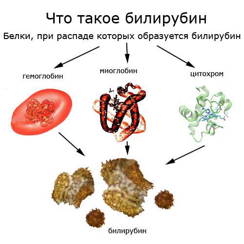 что такое билирубин