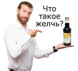 человек спрашивает что такое желчь