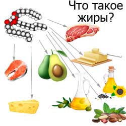 жиры