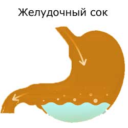 желудочный сок