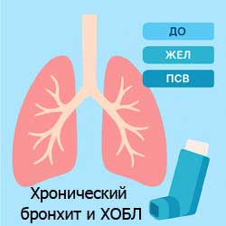 легкие, хронический бронхит и ХОБЛ