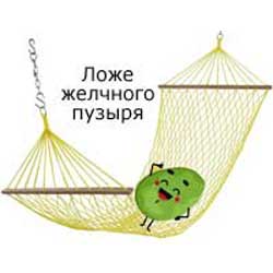 ложе желчного пузыря
