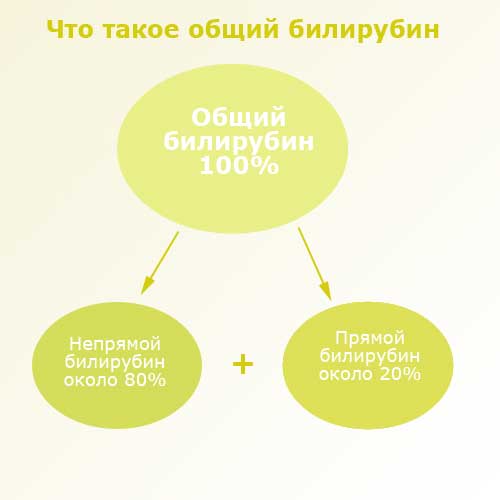 что такое общий билирубин