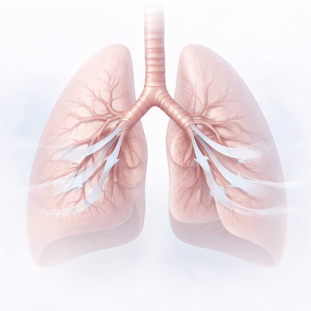 Затрудненное дыхание при обструктивном синдроме, нарушение прохождения воздуха через бронхи.