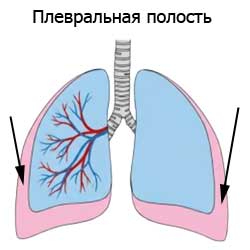 плевральная полость