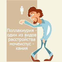 поллакиурия - один из видов расстройства мочеиспускания