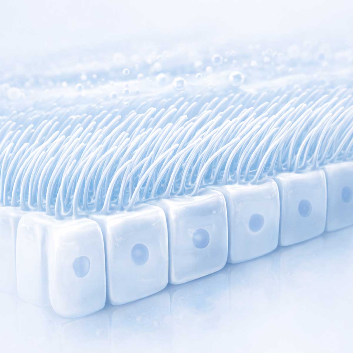 Реснички эпителия — краткое описание функции и расположения