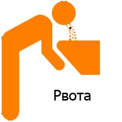 рвота