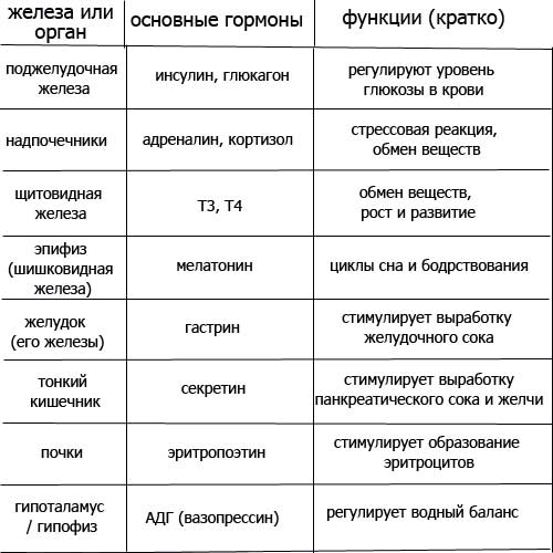 таблица желез, их секрктов и функций
