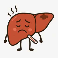 больная печень